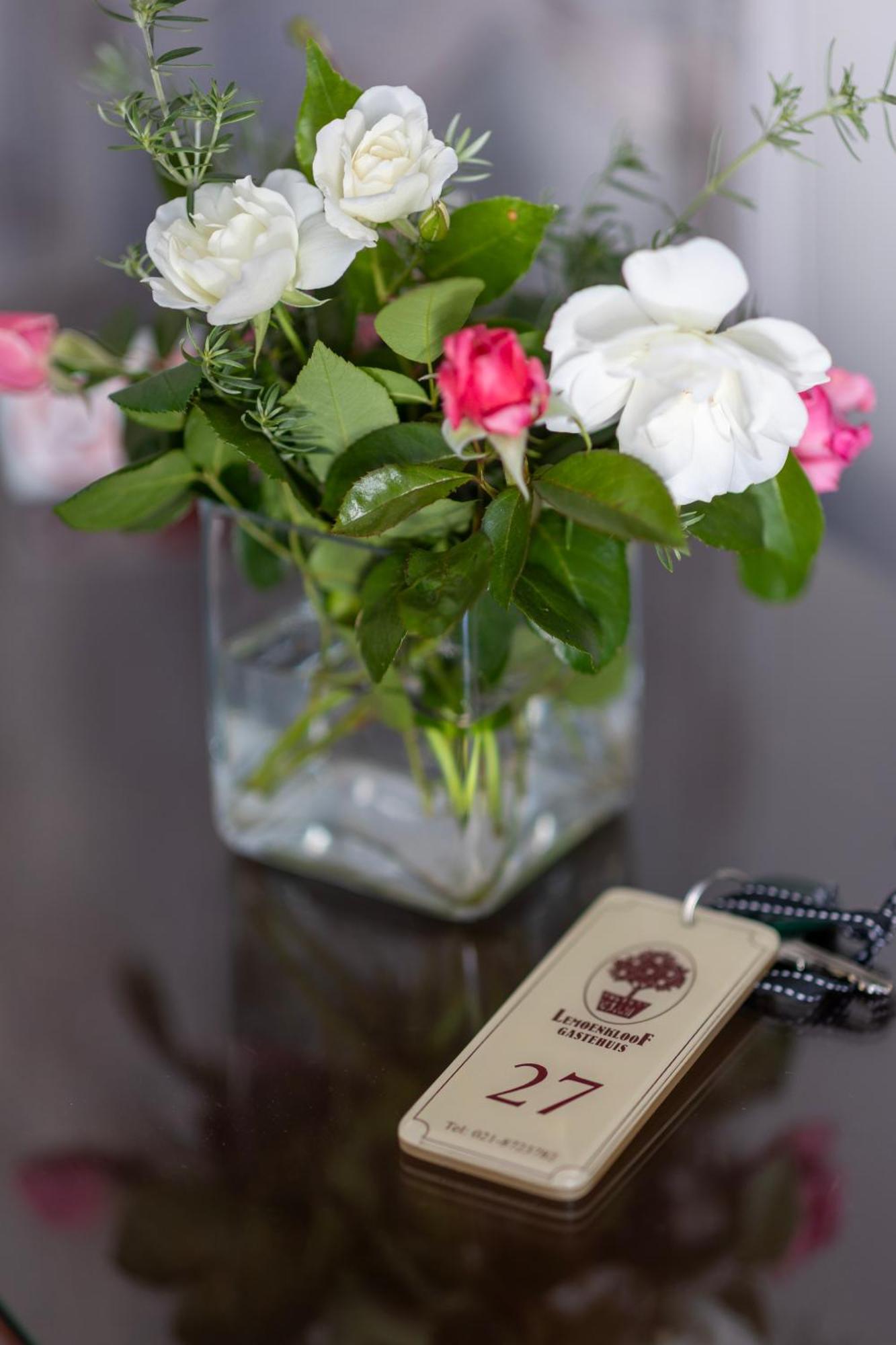 Lemoenkloof Boutique Hotel Парл Екстериор снимка